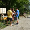 Falunap 2017